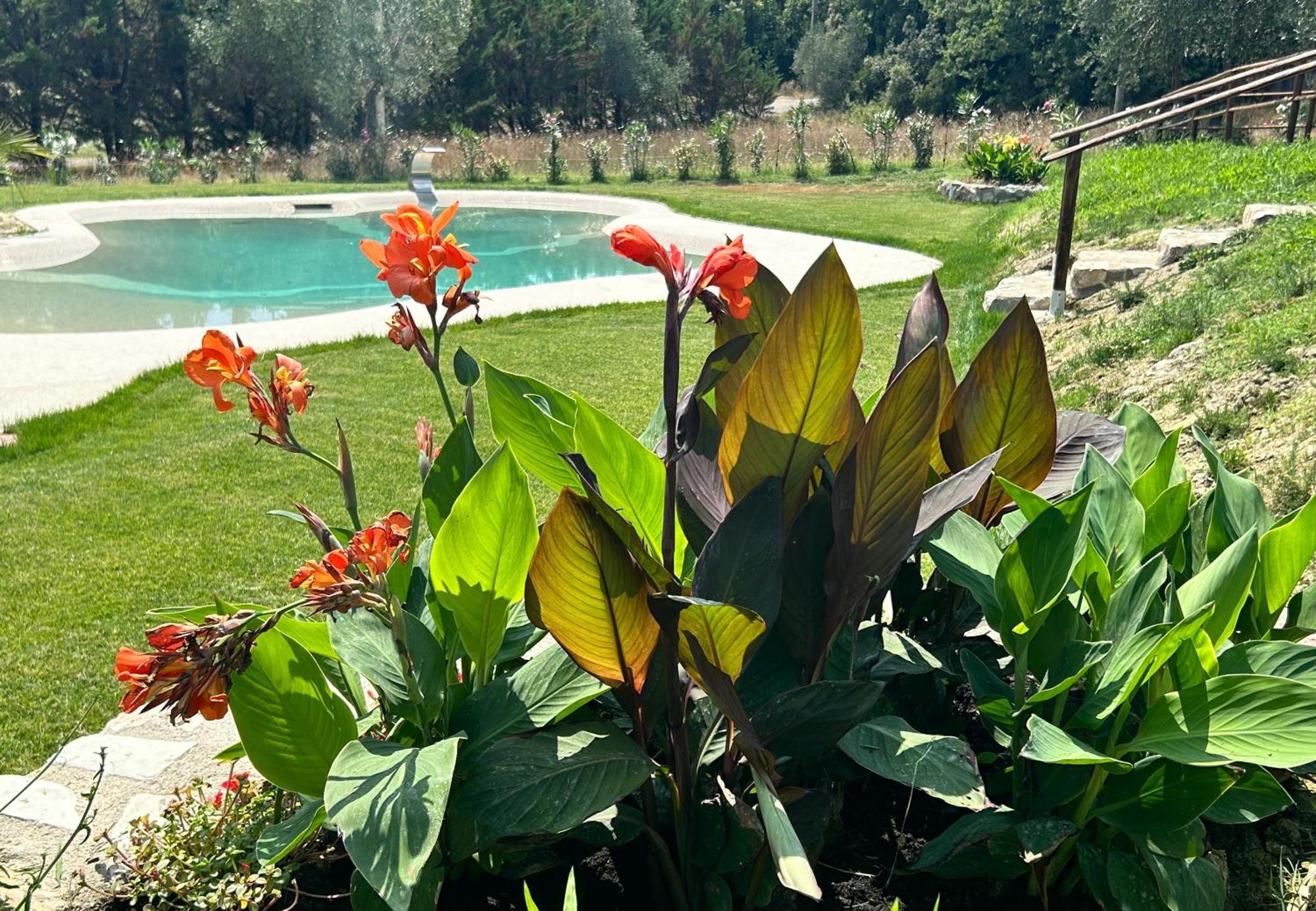 Agriturismo San Ansanino- Piscina Con Spiaggia-Aria Condizionata Pari Zewnętrze zdjęcie